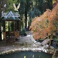 باغ گیاه شناسی باتومی ( Batumi Botanical Gardens )