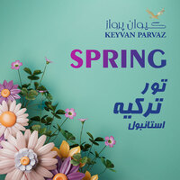 استانبول ( 3 شب )