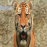 باغ وحش بلگراد ( Belgrade Zoo )