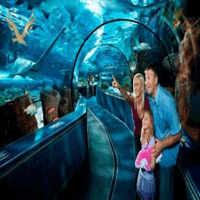 آکواریوم آکوا وگا آنکارا ( aquavega )